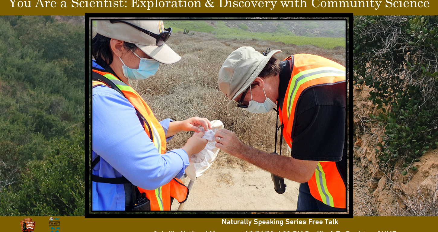 Two people looking inside a white butterfly net
