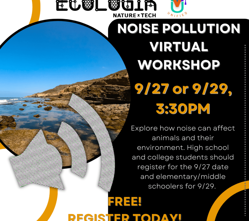 Noise Pollution Virtual Workshop Flyer