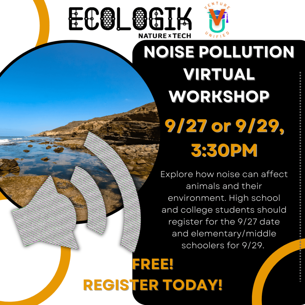 Noise Pollution Virtual Workshop Flyer