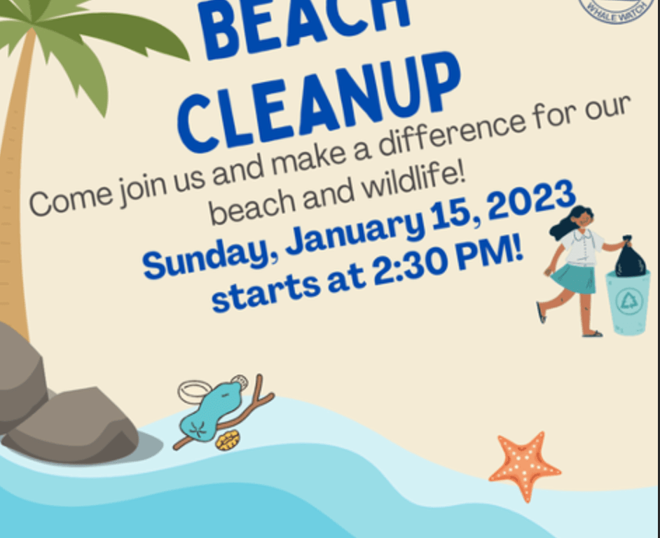 Drawing showin a beach with a palm tree on the left with trash along the beach.