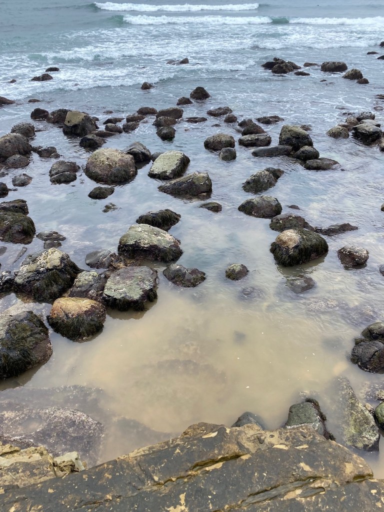 A rocky shoreline with lots of mud in the water in the foreground.