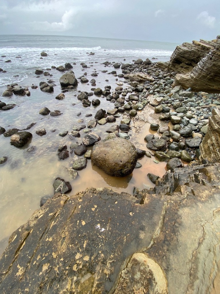 A rocky shoreline with lots of mud in the water in the foreground.