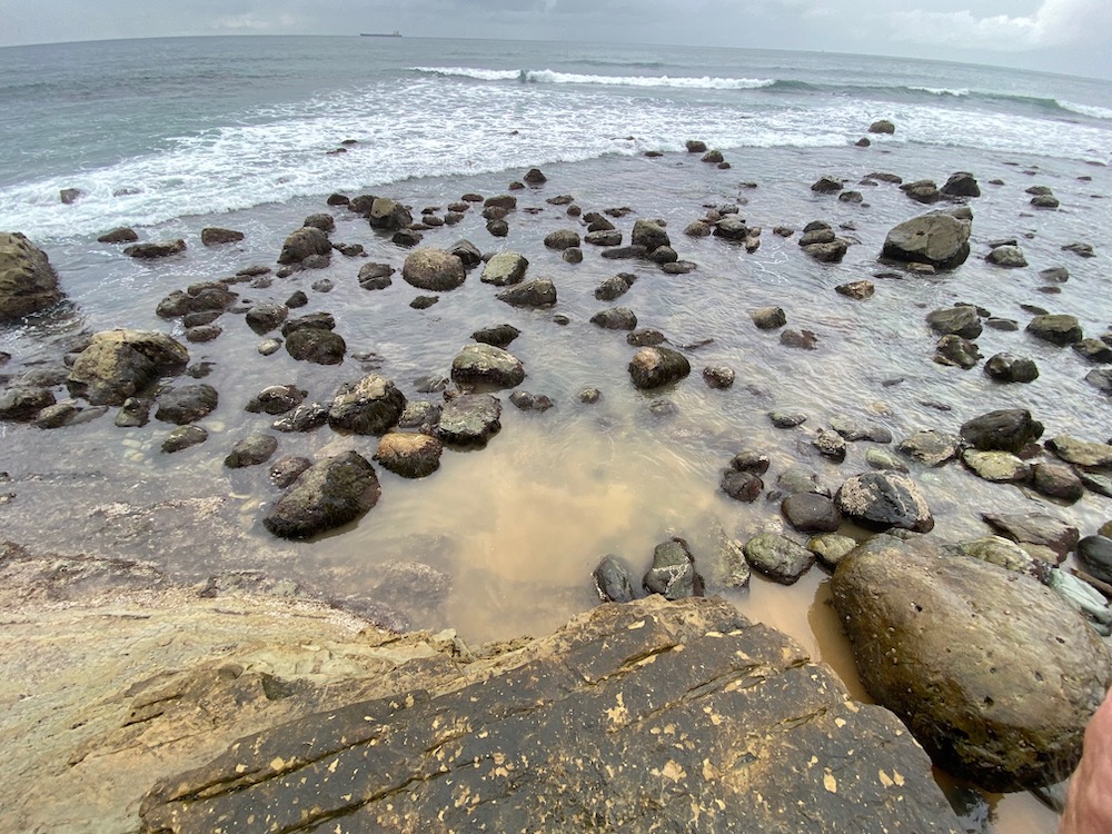 A rocky shoreline with lots of mud in the water in the foreground.