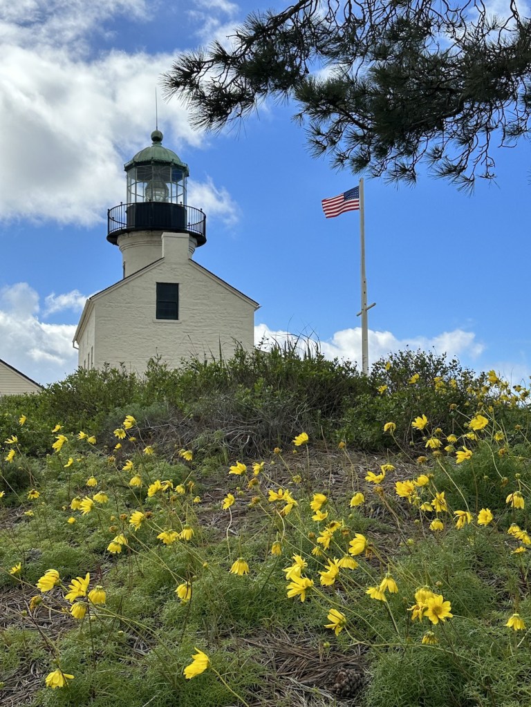 Yellow flowers on a hill with the lighthouse and the American flag in the background.