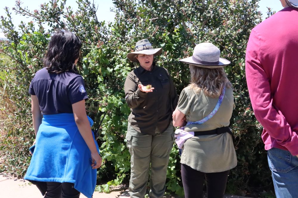 A group of people listen to a lady talking about flowers and plants.