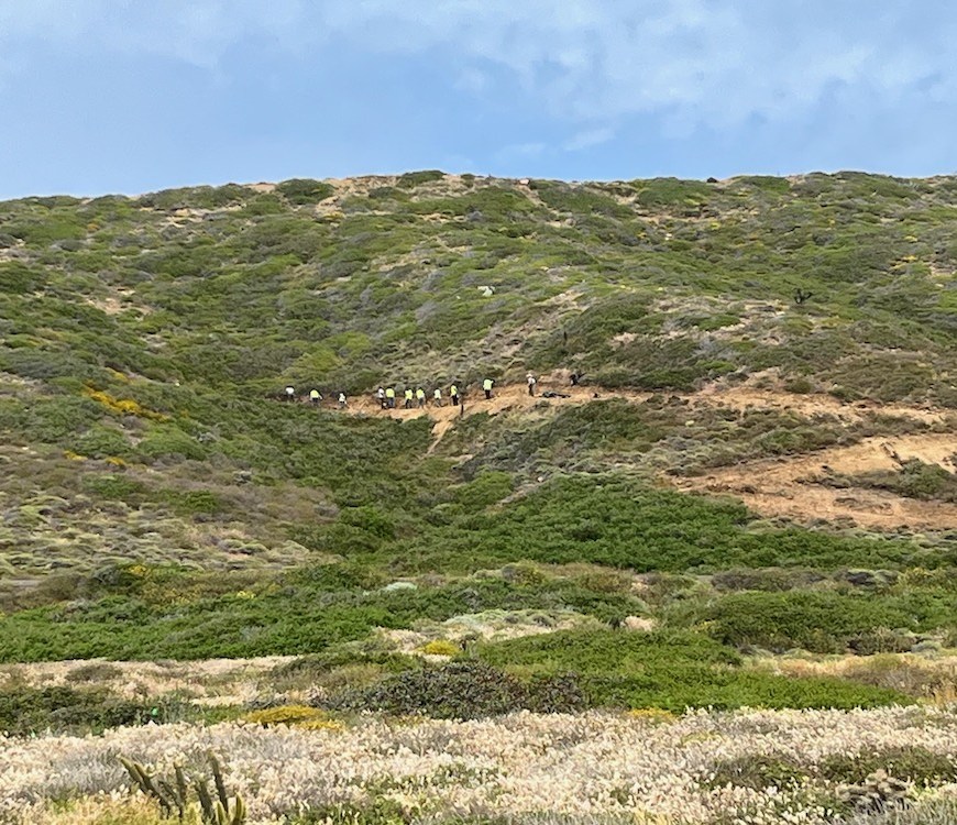 People building a trail on the side of a hill.