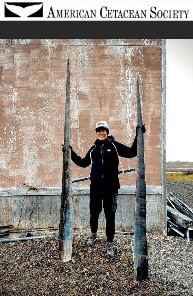 A person stands holding two whale tusks.