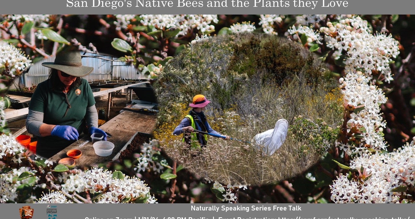 Flyer with two scientists out in the field; one sorts seeds in a greenhouse, the other uses a white net on a long pole to catch insects.