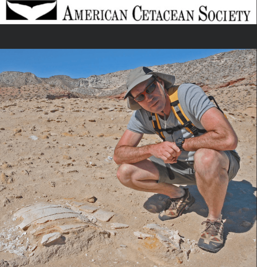 A man crouching down over some fossilized bones on a rocky landscape.