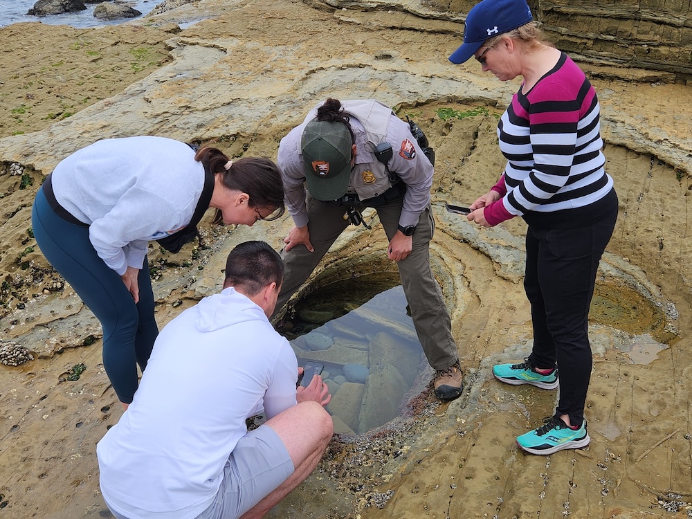 A group of people look into a bathtub sized tidepool.
