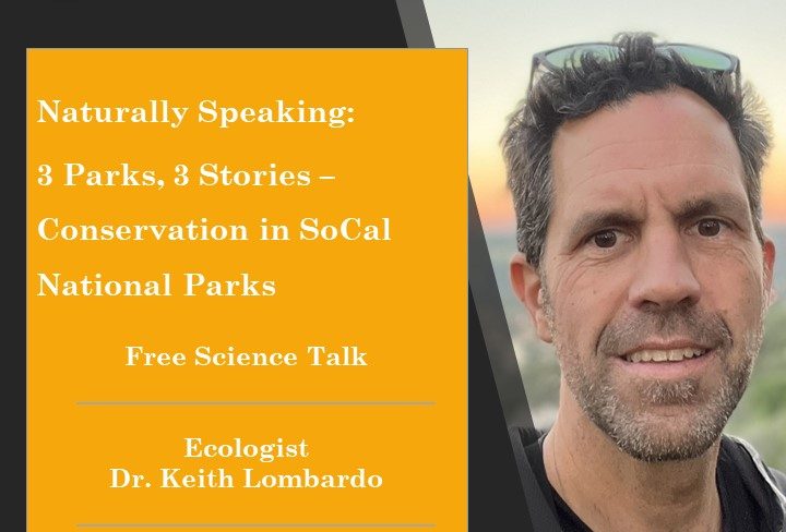 A man with short brown hair and sunglasses perched on top of his head smiles at the camera with a yellow-orange-hued sunset stretching into the distance behind him.