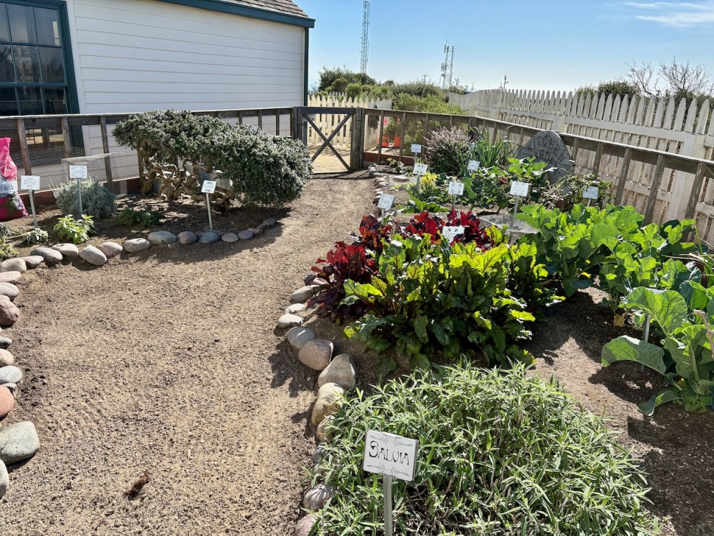 The image shows a well-maintained garden with various plants and vegetables growing in neatly arranged plots. The garden is bordered by a white picket fence and a wooden gate. Each plot is surrounded by stones and has a small sign indicating the type of plant growing there. In the foreground, there is a sign labeled "Salvia" in front of a bushy plant. Other signs are visible throughout the garden, marking different plants. The garden is located next to a building with white siding and large windows. The sky is clear and sunny, suggesting a bright day.