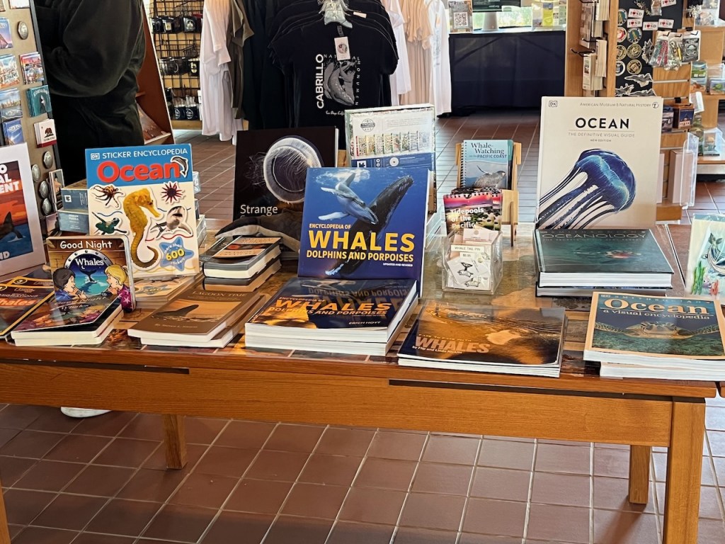 The image shows a display table in a store, featuring a variety of books and items related to marine life. The table is wooden and set on a tiled floor. Some of the prominent books visible include: - "Sticker Encyclopedia: Ocean" with colorful ocean-themed stickers on the cover. - "Strange" with an image of a jellyfish or similar sea creature. - "Encyclopedia of Whales, Dolphins and Porpoises" featuring a whale on the cover. - "Ocean: The Definitive Visual Guide" by the American Museum of Natural History, showing a jellyfish. - "Oceanology" with an underwater scene on the cover. - "Ocean: A Visual Encyclopedia" with an ocean scene. There are also smaller items like postcards or small booklets, and a box labeled "Whale Tail Pin" with pins inside. In the background, there are racks with clothing and other merchandise.