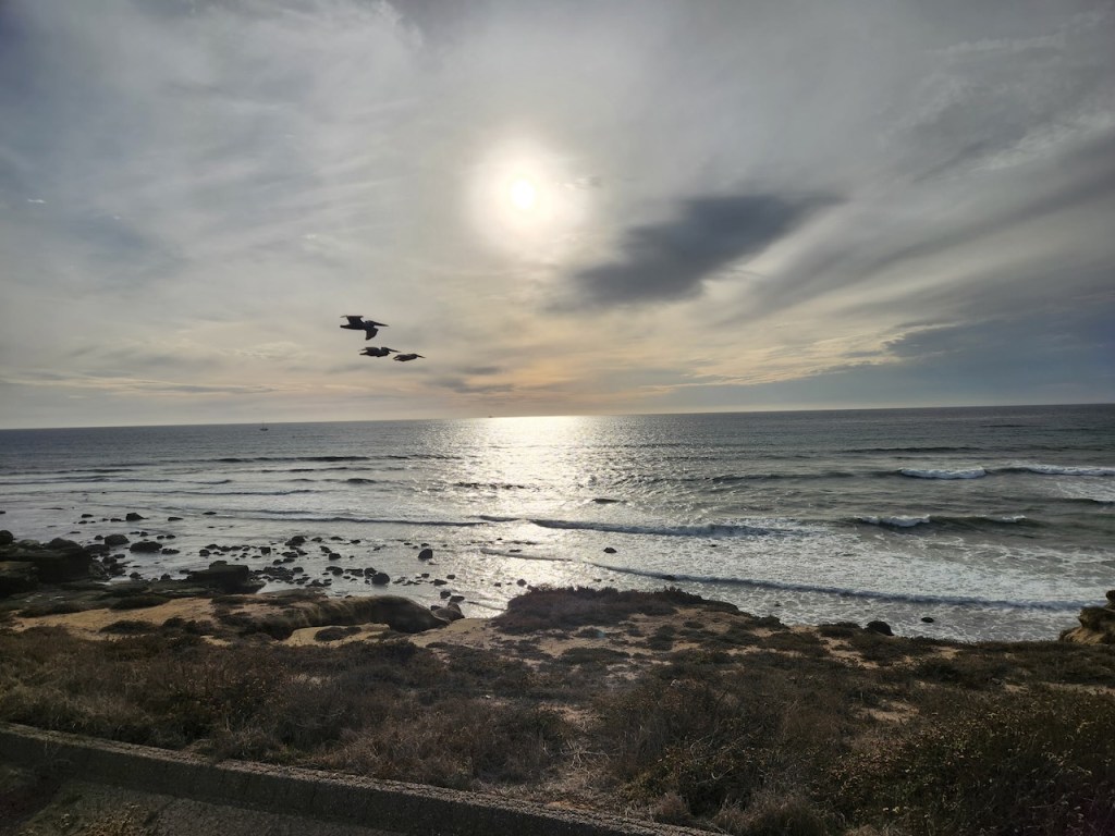 A serene coastal scene with the sun low in the sky, casting a bright reflection on the ocean. The sky is partly cloudy, with a mix of light and darker clouds. Three birds are flying in formation across the sky. The ocean has gentle waves rolling towards a rocky shoreline. In the foreground, there is a dry, grassy area leading to the edge of the water.