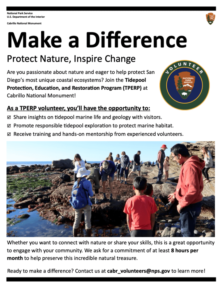 Recruitment flyer for Tidepool Volunteers