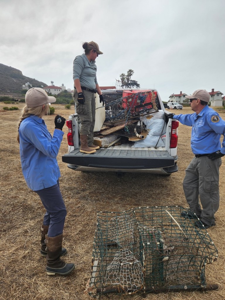 Three people and a pickup truck loaded with debris. The scene is outdoors on dry, brown grass. Two women and one man, all wearing work clothes, gloves, and hats, are gathered around the open tailgate of a white pickup truck. One woman stands in the truck bed among a pile of collected debris, including metal cages, nets, and various trash items. The other woman and the man stand on the ground, facing her and the truck. In the foreground, a large, empty wire cage sits on the ground. In the background, there are a few white buildings with red roofs, some palm trees, and a hillside with several dome-shaped structures. The sky is overcast. The group appears to be involved in a cleanup or removal operation.