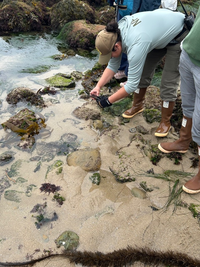 People in boots exploring a rocky tide pool with seaweed, wet sand, and shallow water.