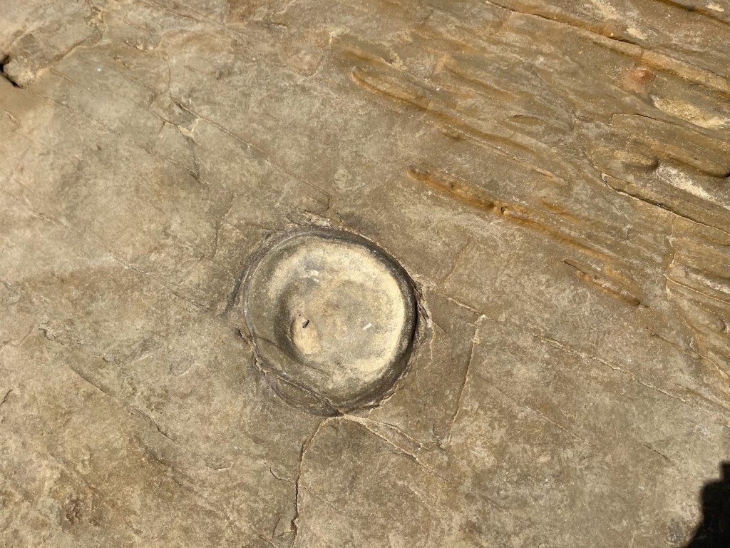 A round, smooth, light-colored stone formation is embedded in a flat, cracked rock surface with layered textures and sunlit shadows.