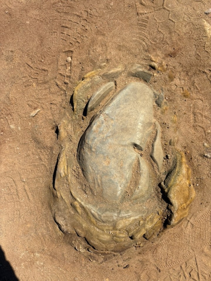 A large, smooth, gray rock is partially buried in sandy ground, surrounded by layered, yellowish stone, with shoe prints scattered around it.
