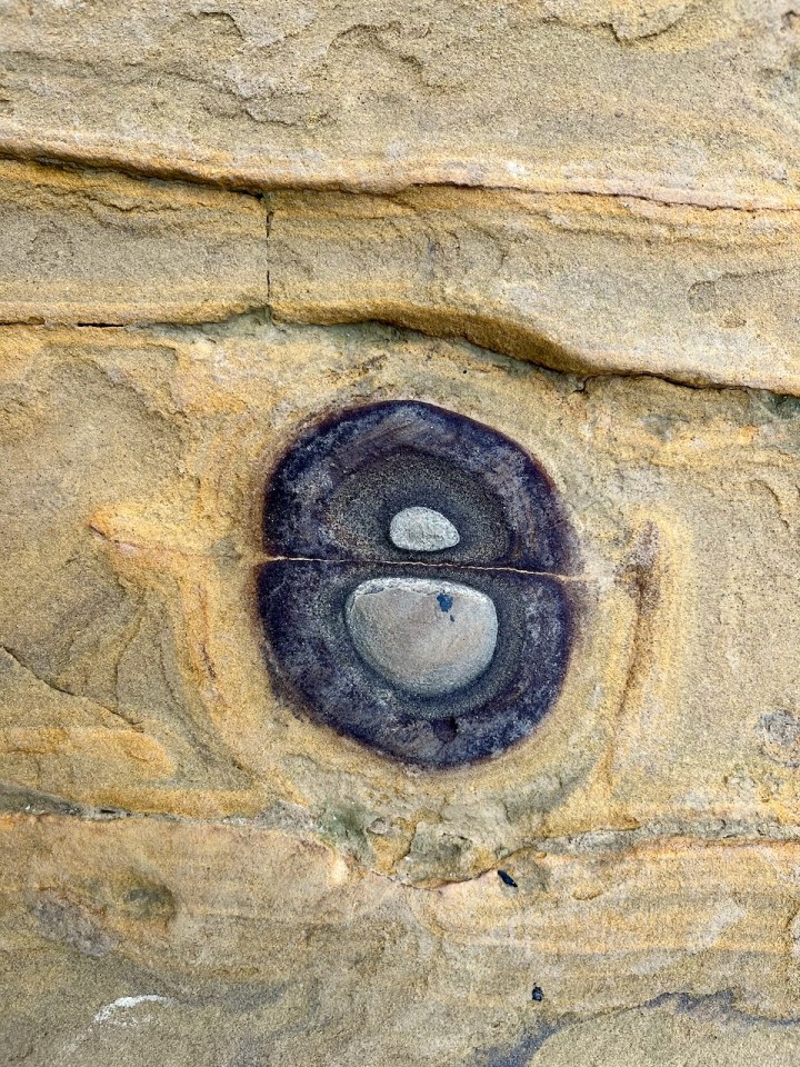 A smooth sandstone surface with a round, dark, eye-like concretion in the center, showing layered rings and two small gray stones embedded inside.