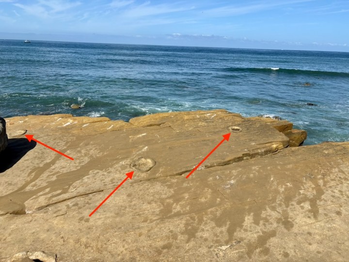 A flat rocky shoreline meets the blue ocean under a clear sky. Small waves lap against the rocks, and round depressions are visible on the rock surface.