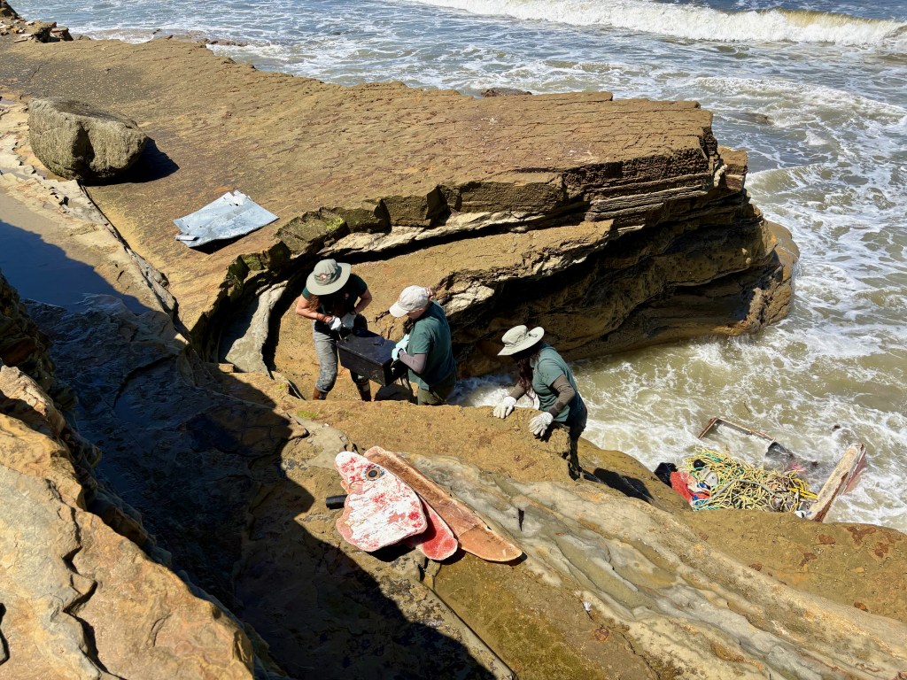 People in hats examining a fossil on a rocky coastal cliff with waves crashing nearby.