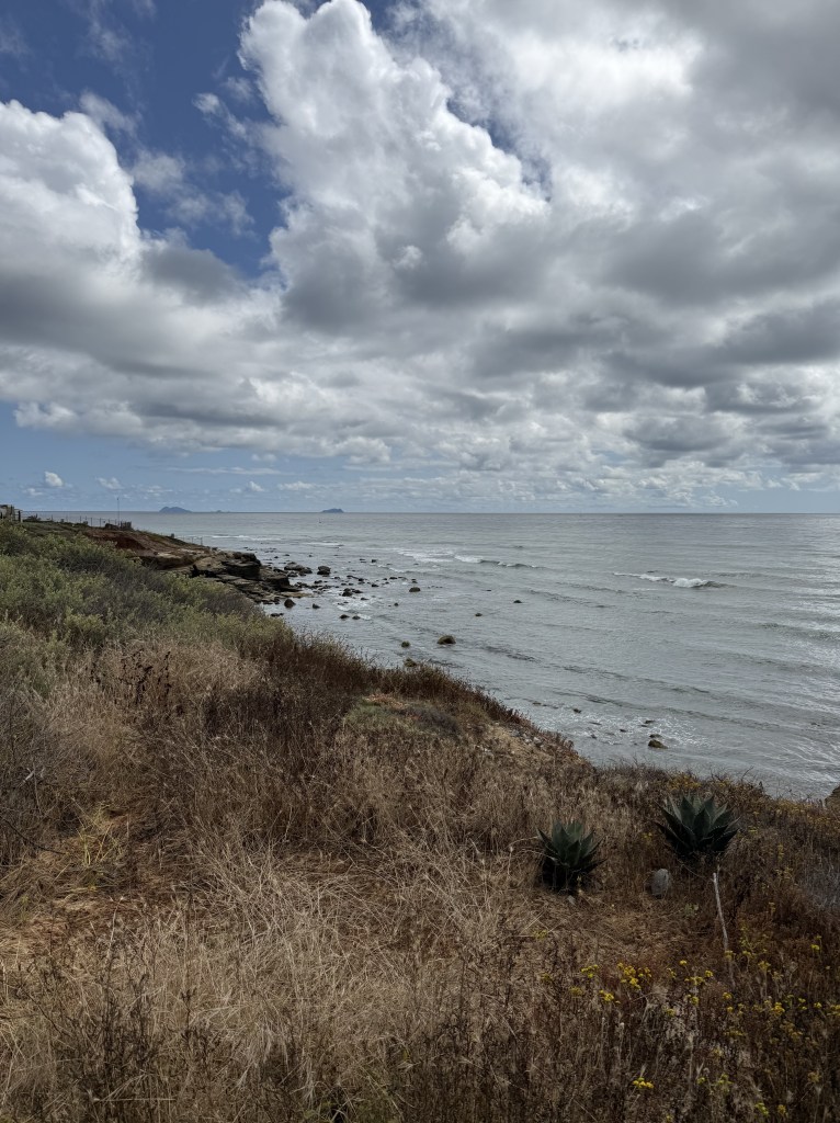 A cloudy sky hangs over a calm ocean with gentle waves. The rocky coastline is lined with dry grass, shrubs, and a few agave plants, stretching toward the distant horizon.