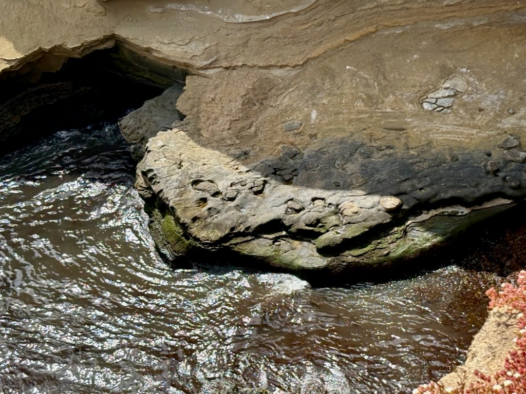 Waves ripple against a rocky shoreline with layered, weathered stone and patches of moss, forming a natural ledge above the water.