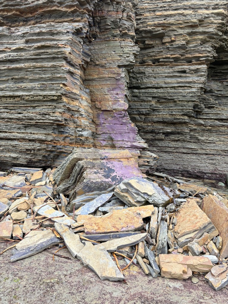 A rocky cliff with layered sedimentary rock, featuring shades of gray, brown, and purple, with scattered debris at its base.