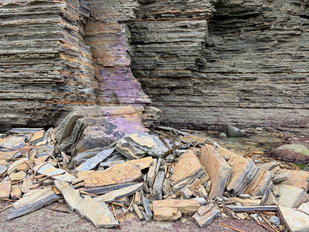 Rocky cliff with layered sedimentary rock, featuring shades of gray, brown, and purple. Scattered rocks and debris at the base.