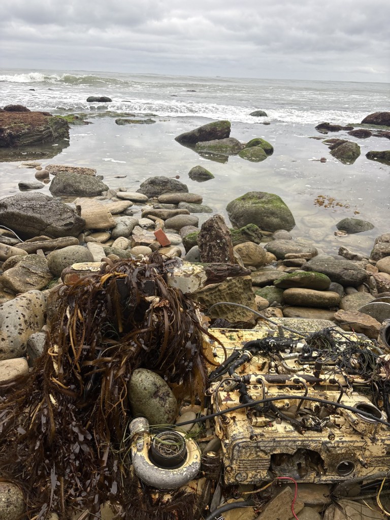 A rusted boat engine tangled in seaweed rests on a rocky shoreline with waves and cloudy skies in the background.