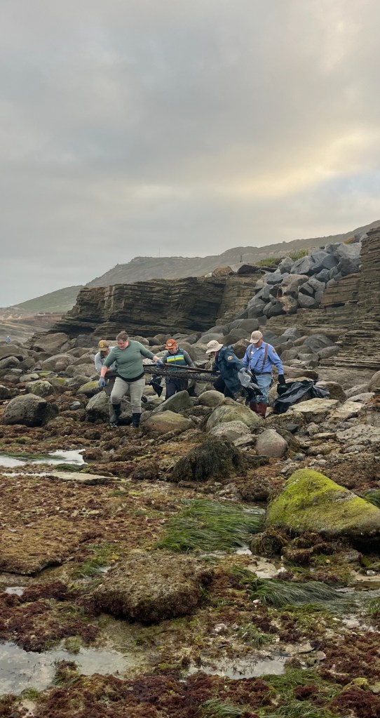 A group of people in outdoor gear standing on rocky terrain with seaweed and cliffs under a cloudy sky.