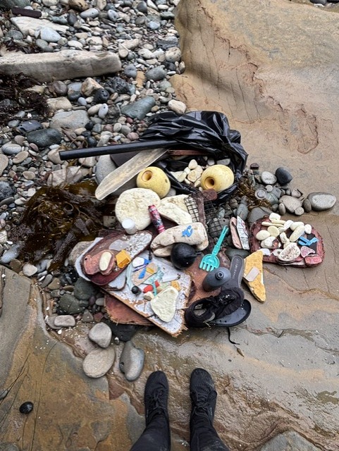 wo mosaic tiles on rocks by the shore, surrounded by seaweed, stones, and a black plastic bag.