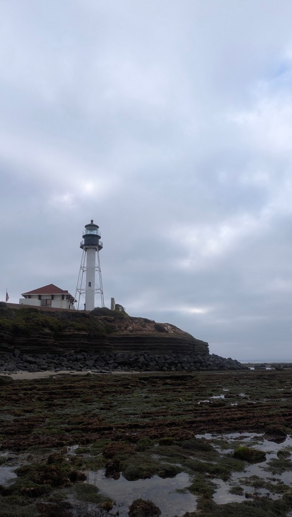 A tall white lighthouse with a black top stands on a rocky cliff above the ocean, beside a small house, under a cloudy sky with tidal pools and dark seaweed in the foreground.