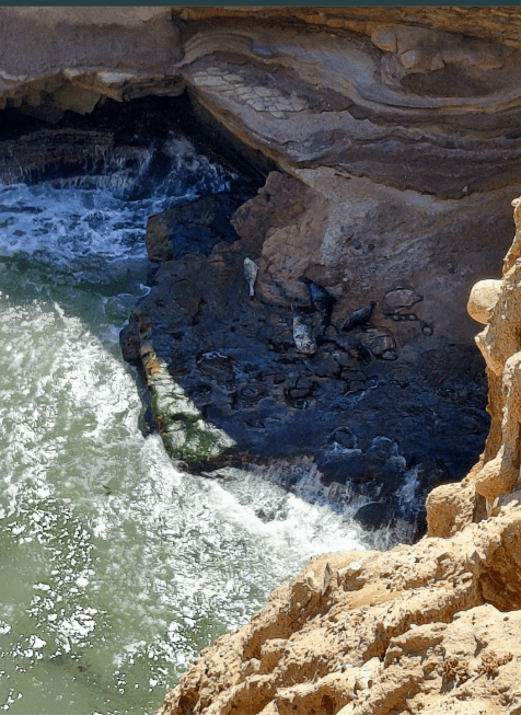 A rugged coastal cave with waves crashing against rocks, surrounded by layered cliffs and sunlight casting shadows.