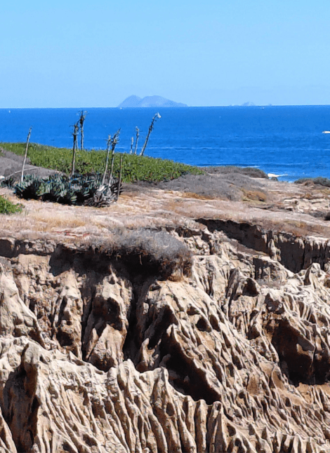 Rugged coastal cliff with spiky plants overlooking a deep blue ocean and distant island under a clear sky.