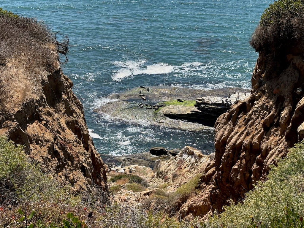 Rocky cliffs frame a view of the ocean with waves gently hitting mossy rocks. Seabirds rest on the rocks near the shore, with dry brush and greenery on the cliff edges.